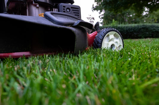 Grass cut- Large Lawns